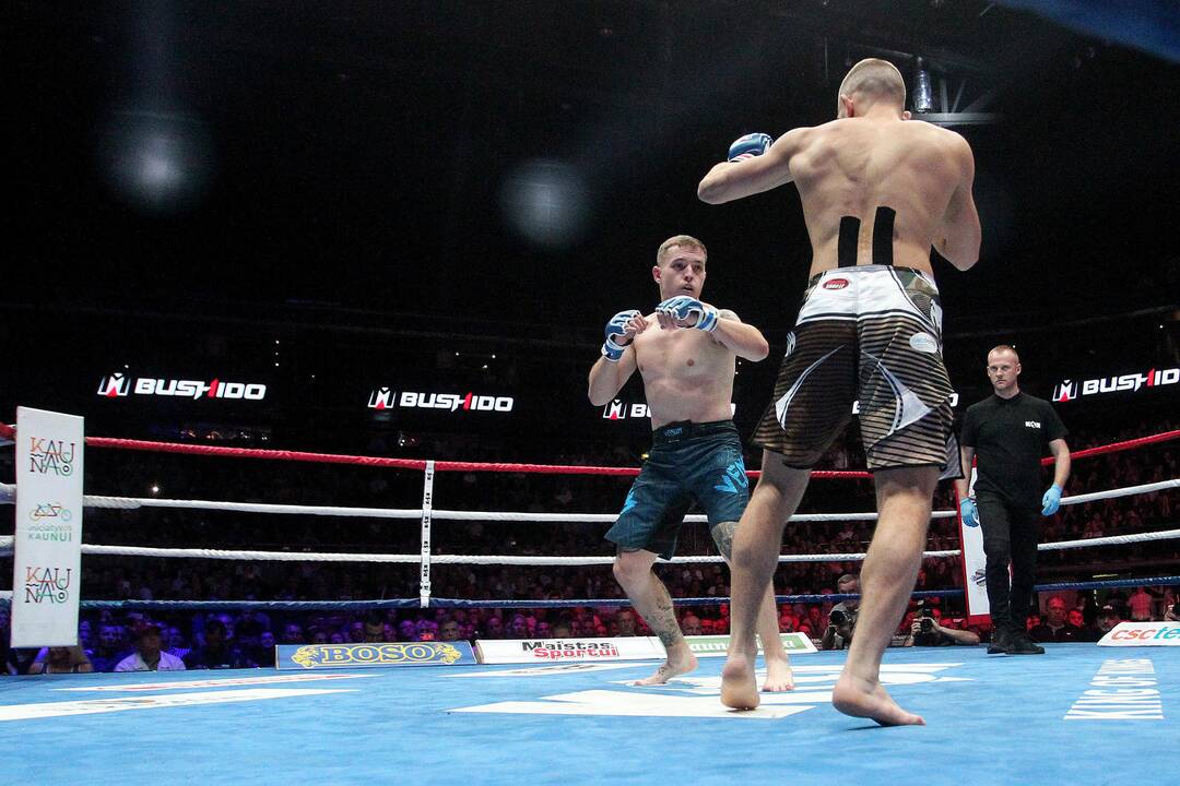 „KOK World Series“ turnyras Kaune