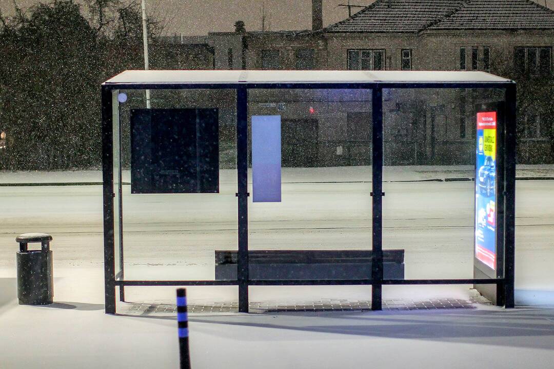 Pirmasis šios žiemos sniegas Kaune 