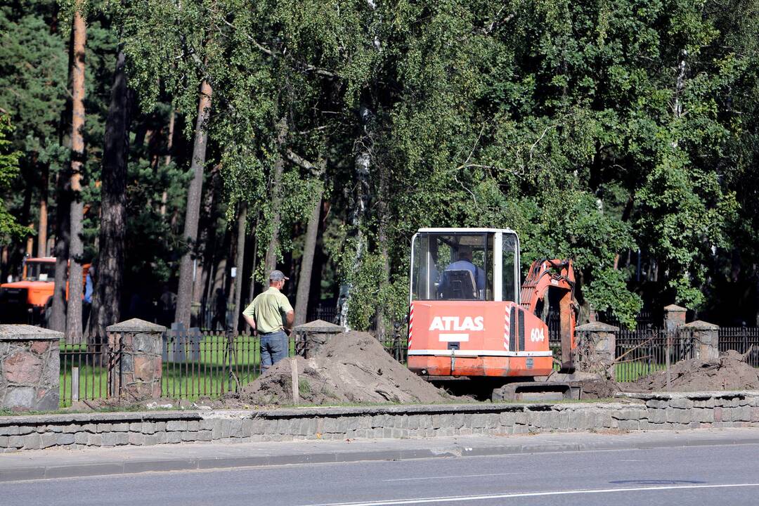 Poilsio parke kertami medžiai