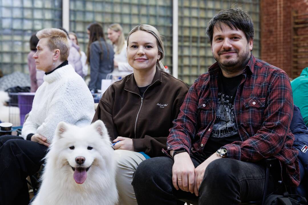 Samojedų paroda „Žiemos stebuklų šalis 2025“
