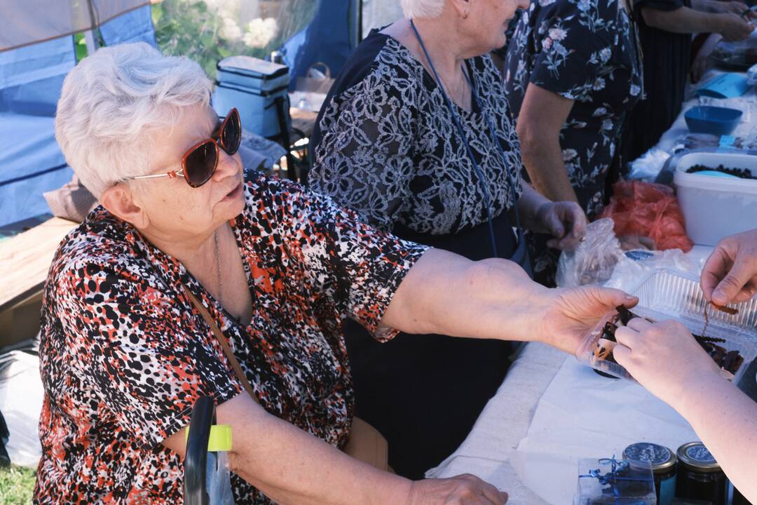 Mėlynių festivalis Lekėčiuose