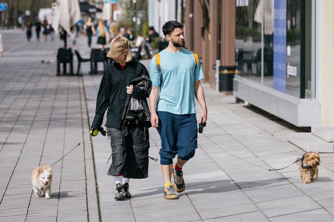 Kauniečių diena (2025-04-18)