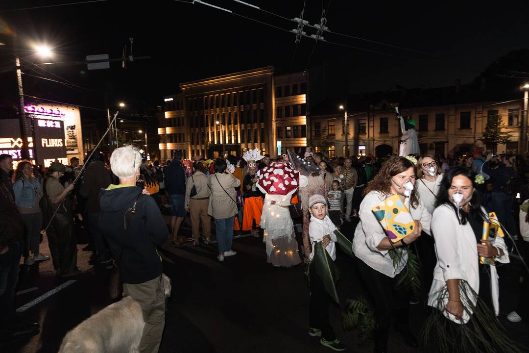 „Fluxus“ kopimas į Parodos kalną