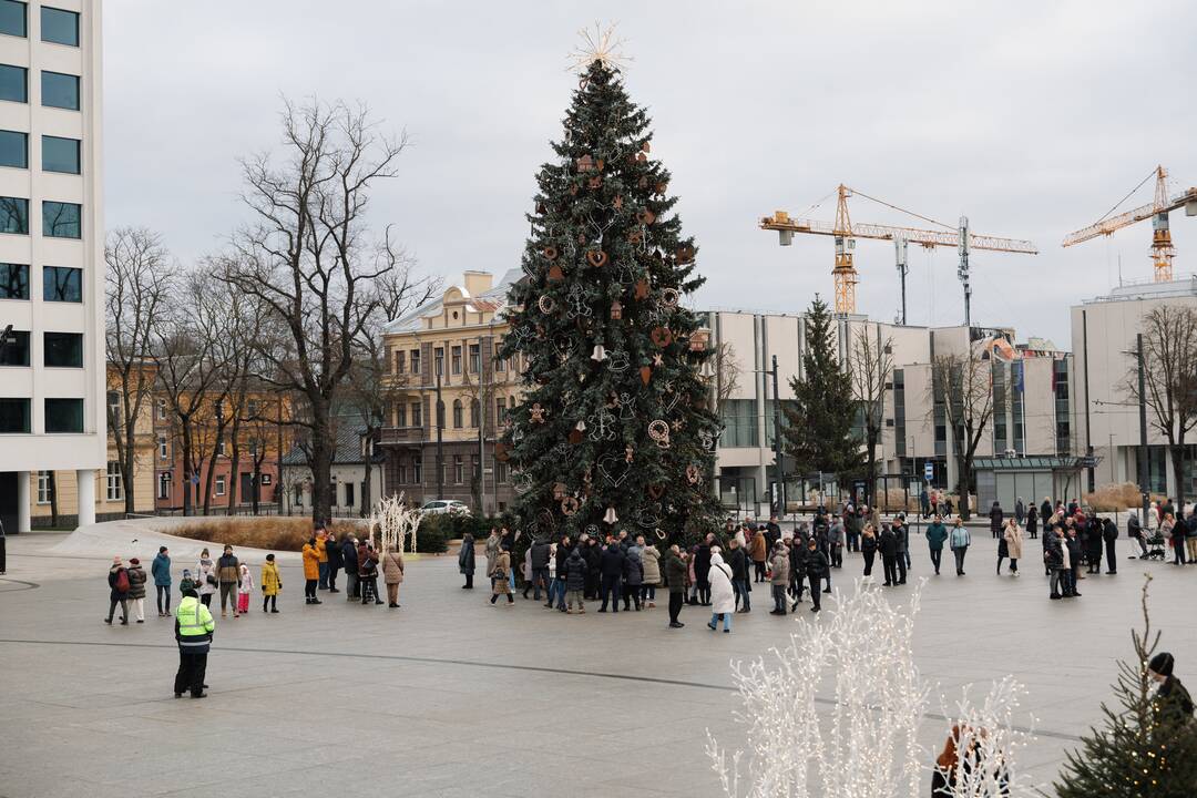 Kalėdų akimirkos prie Kauno eglės