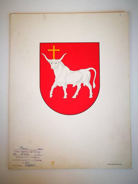 Miesto ceremonmeisteris K.Ignatavičius demonstruoja Kauno miesto vėliavos reversinę pusę. 2018 m.
