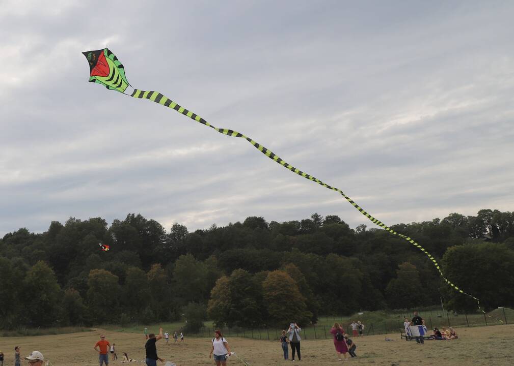 Zapyškio aitvarų festivalis „Tarp dangaus ir žemės“