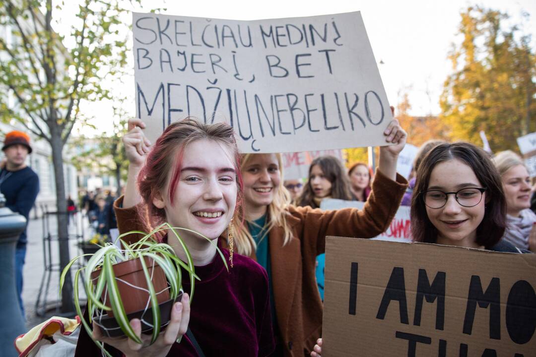 Eitynės prieš klimato šilimą Vilniuje