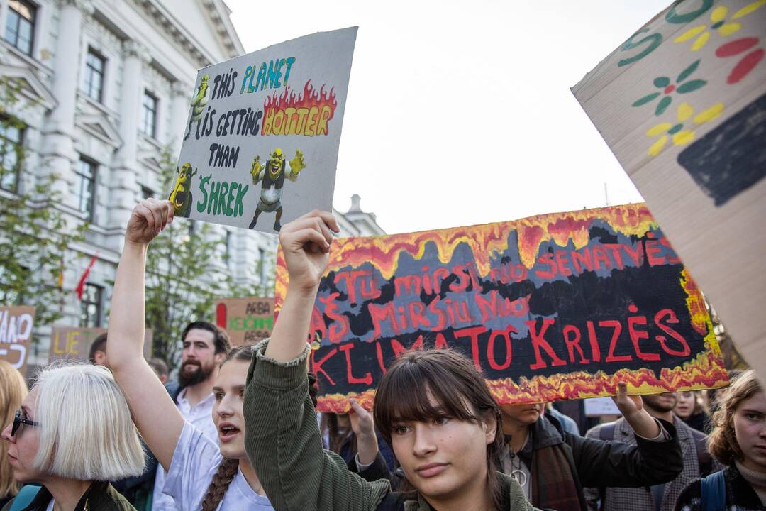 Eitynės prieš klimato šilimą Vilniuje