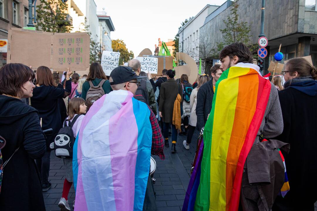 Eitynės prieš klimato šilimą Vilniuje