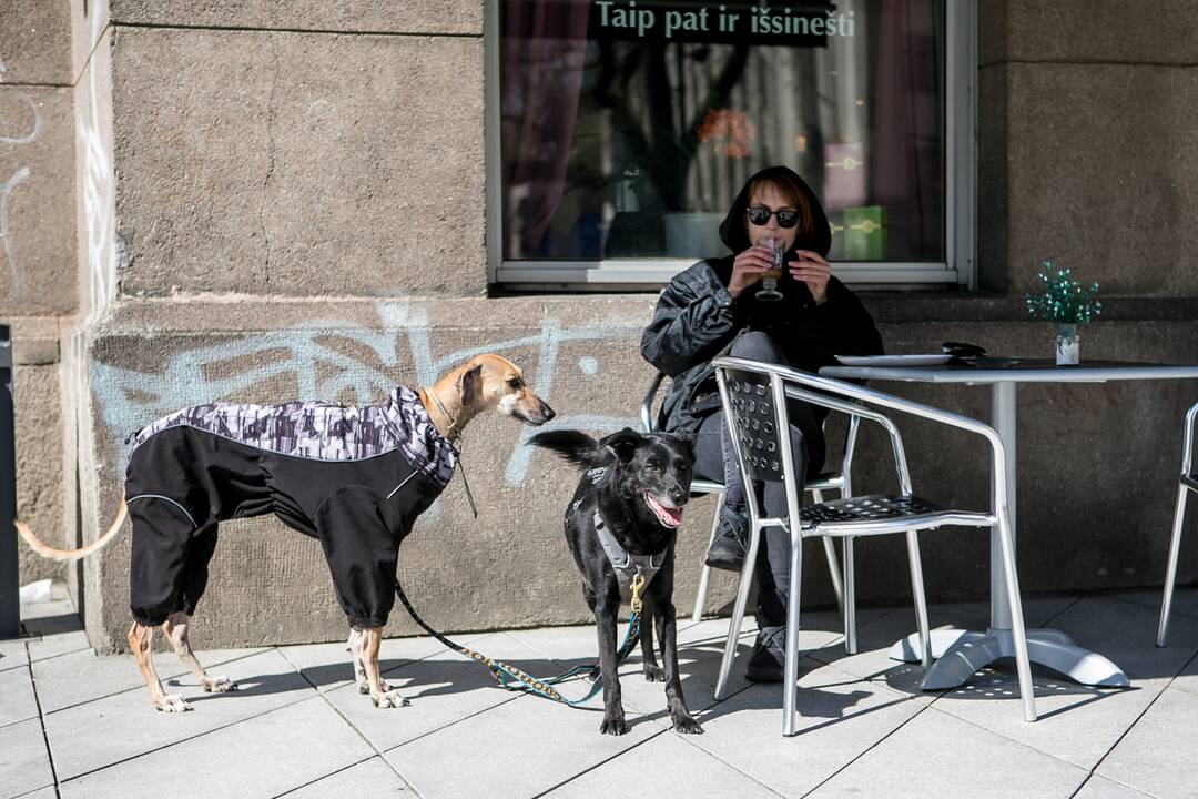 Kauniečiai šeštadienį lauko kavinių neapgulė