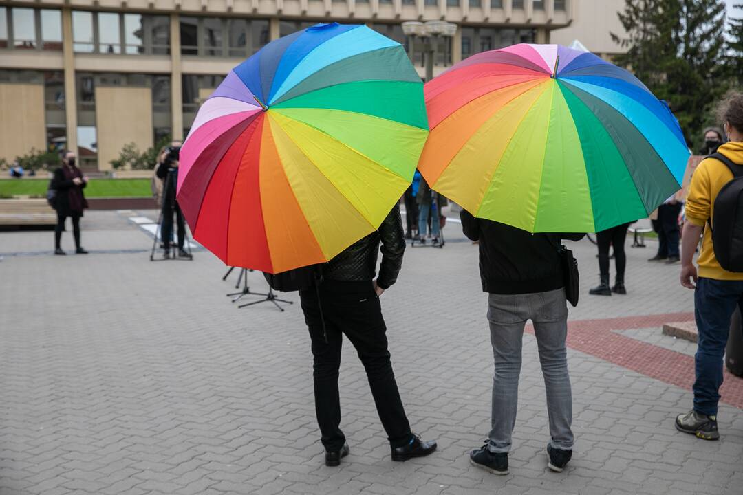 Įvardijo, kada Seimas turėtų priimti sprendimą dėl partnerystės 