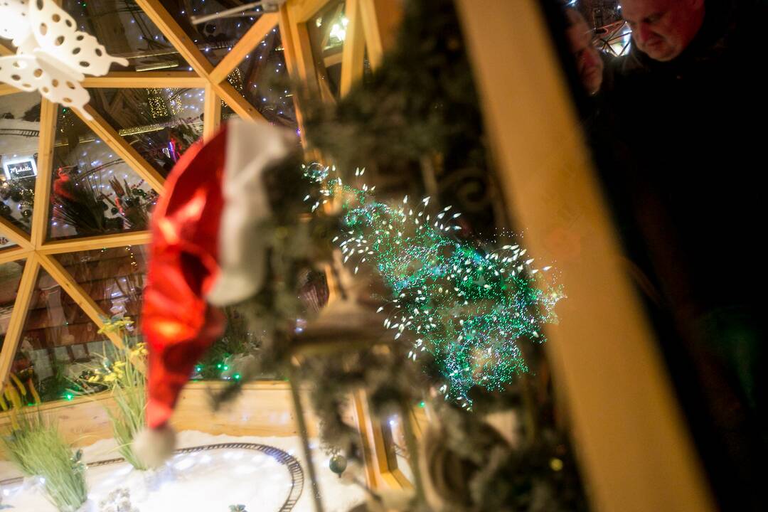 Para po Kauno žaliaskarės įžiebimo: smalsuoliai plūsta būriais