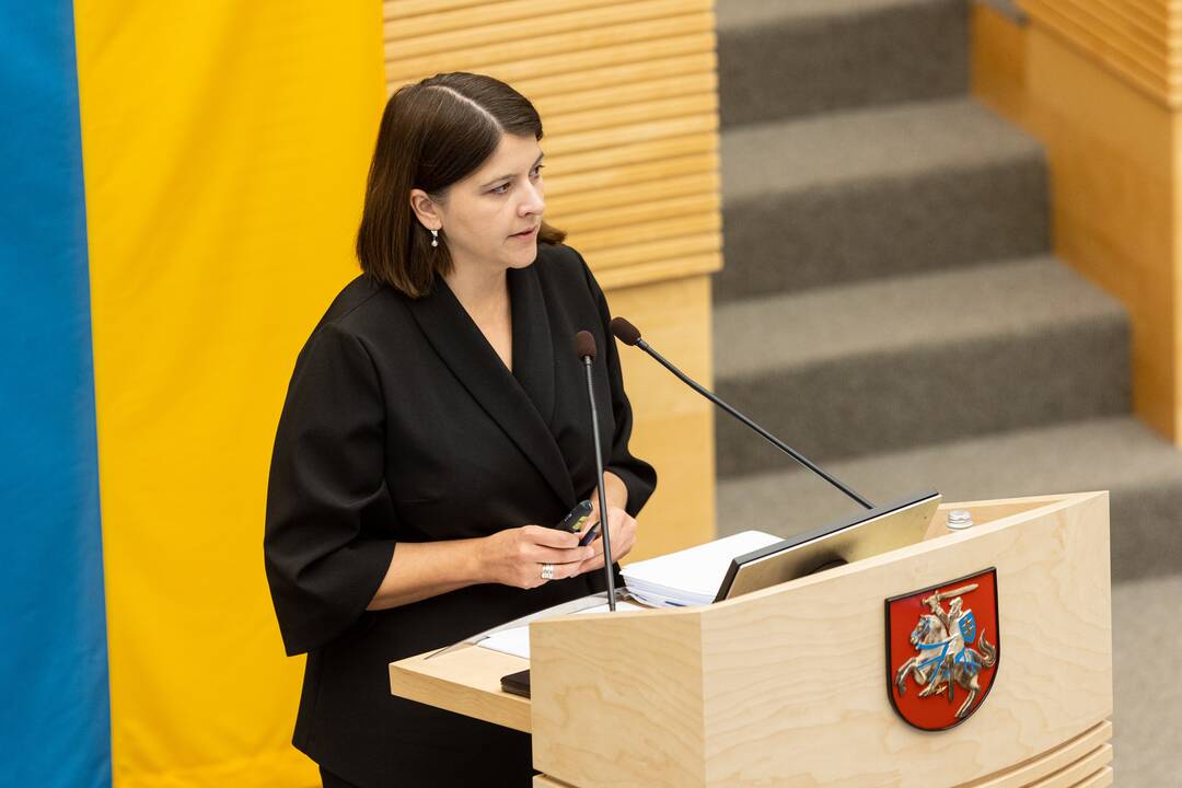 Seimui pristatomas 2023 metų valstybės biudžeto projektas