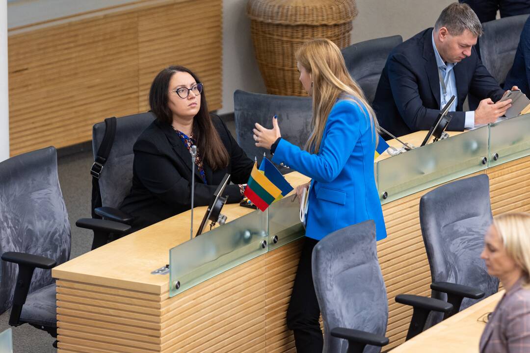 Seimui pristatomas 2023 metų valstybės biudžeto projektas