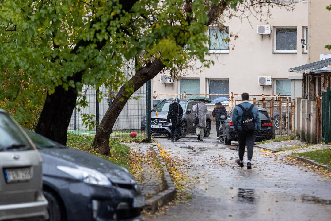 Vilniuje pabiro snaigės