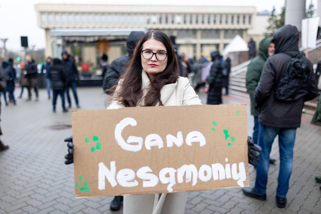 Prie Seimo – protestas dėl plynųjų miškų kirtimų