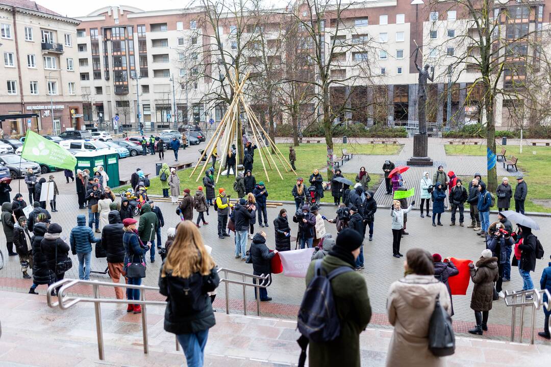 Prie Seimo – protestas dėl plynųjų miškų kirtimų