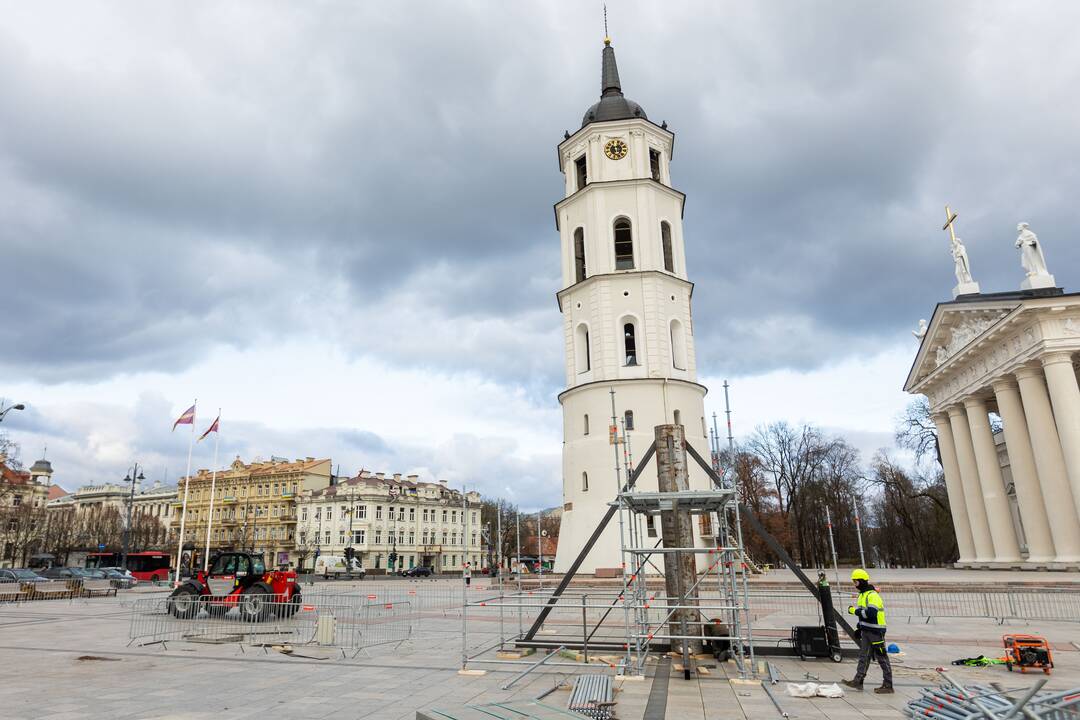 Vilniaus Kalėdų eglės statymo darbai