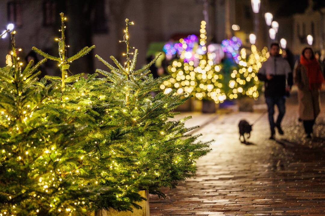 Kaunas plūsta į Rotušės aikštę