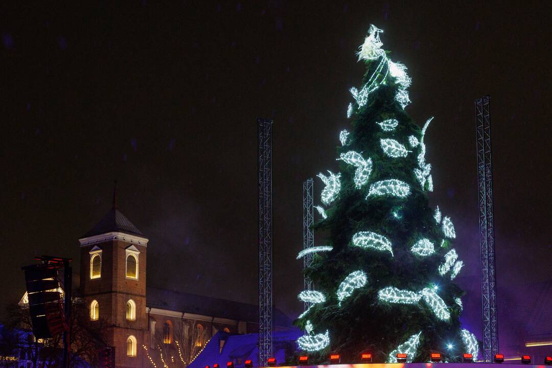 Kauno Kalėdų eglės įžiebimo šventė