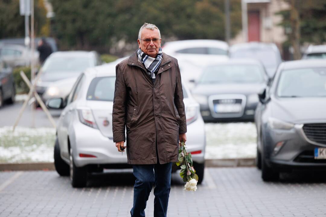 Atsisveikinimas su D. Teišerskyte