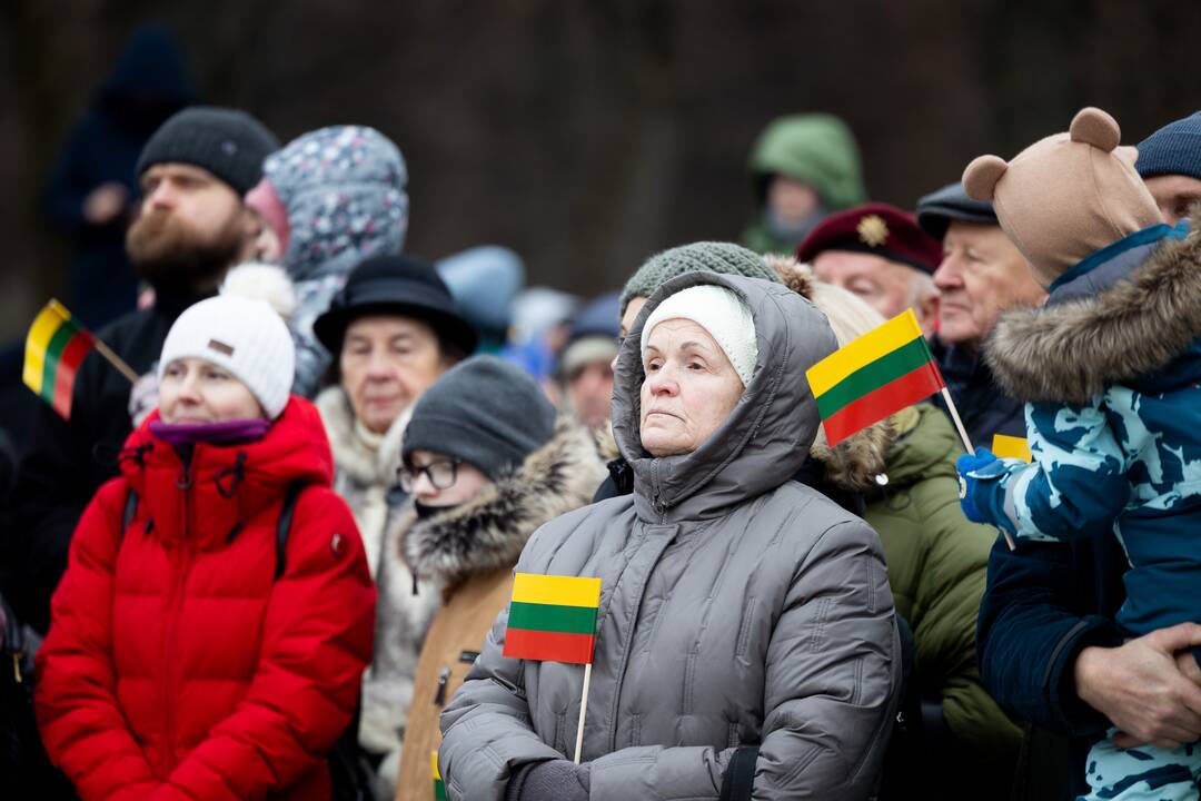 Lietuvos vėliavos diena