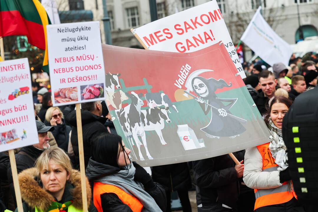 Vilniuje prasidėjo žemdirbių mitingas