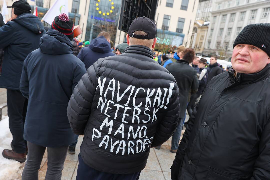 Vilniuje prasidėjo žemdirbių mitingas