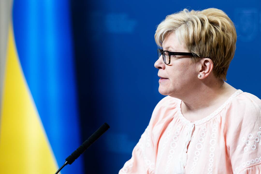 I. Šimonytė susitiko su Ukrainos premjeru D. Šmyhaliu