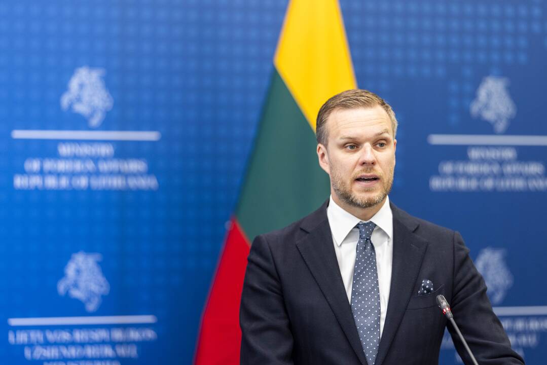 G. Landsbergis susitiko su Nyderlandų užsienio reikalų ministre