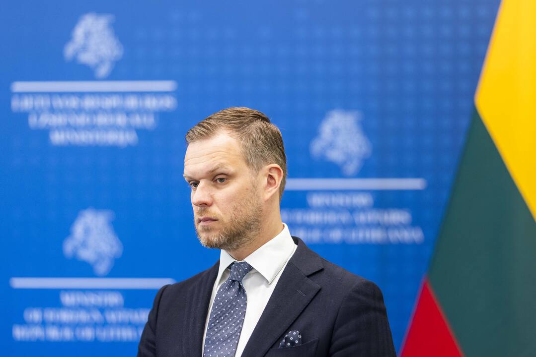 G. Landsbergis susitiko su Nyderlandų užsienio reikalų ministre
