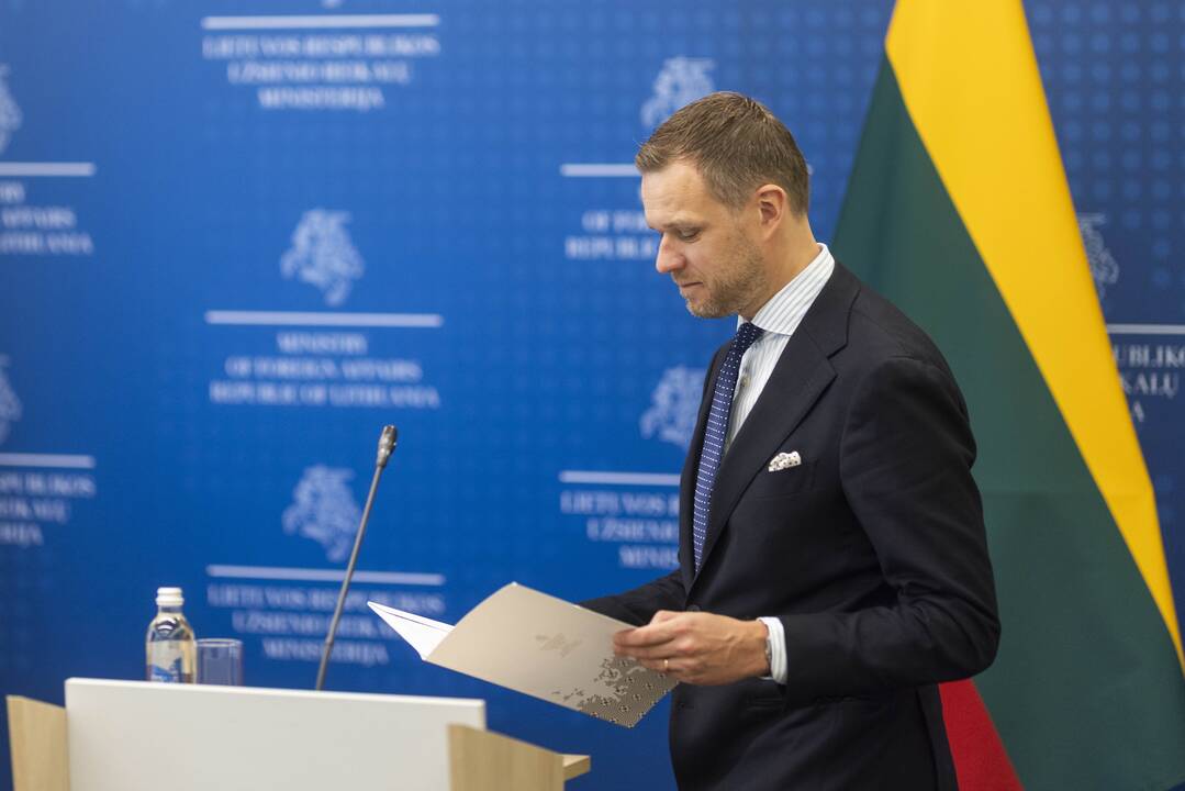 G. Landsbergis susitiko su Europos Tarybos generaline sekretore 