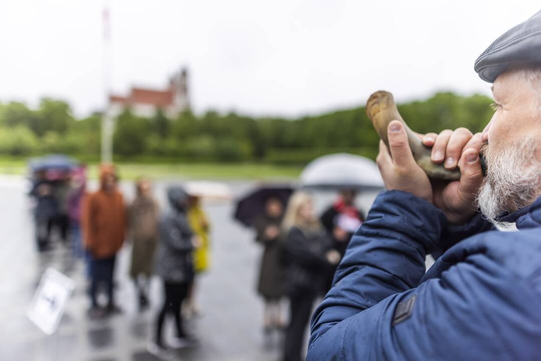 Prasidėjo balsavimas iš anksto renkant prezidentą, pilietybės referendume