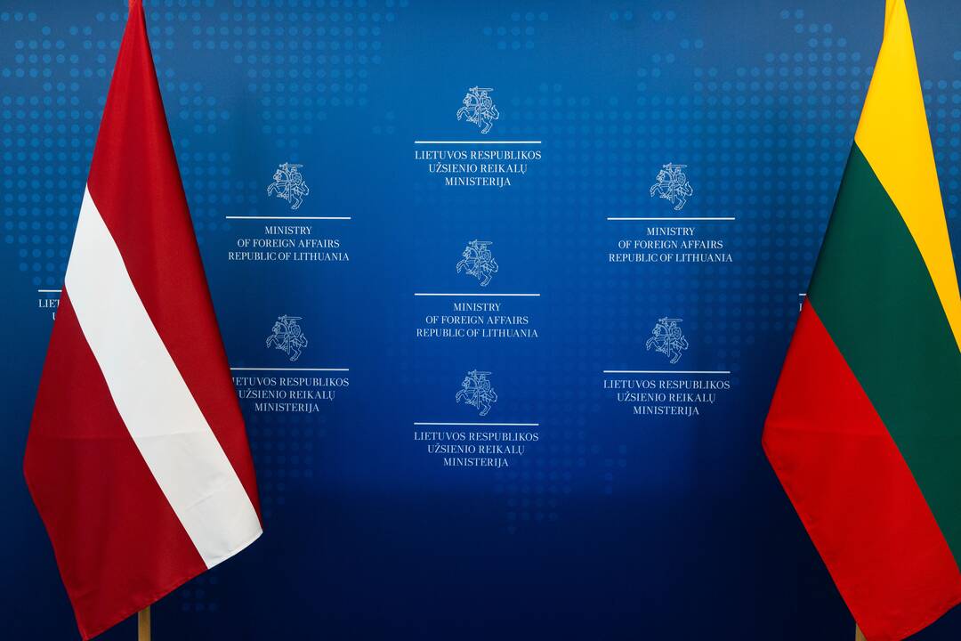 Baiba Bražė ir Gabrielius Landsbergis