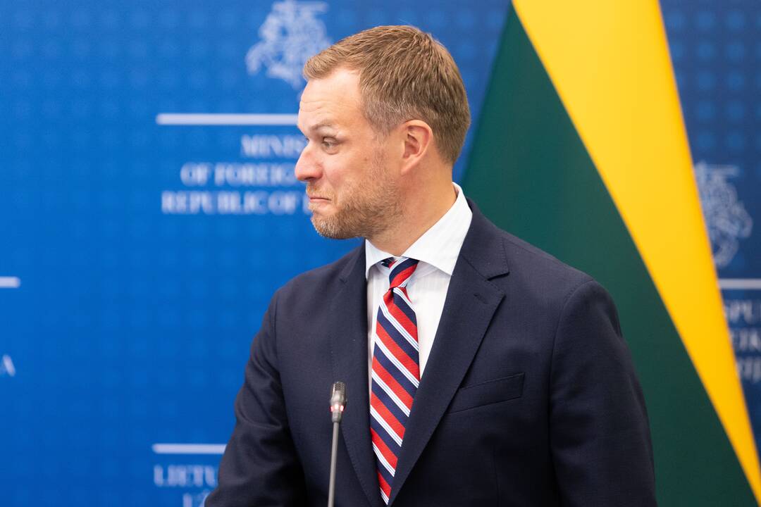 Baiba Bražė ir Gabrielius Landsbergis