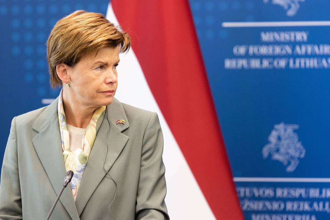 Baiba Bražė ir Gabrielius Landsbergis