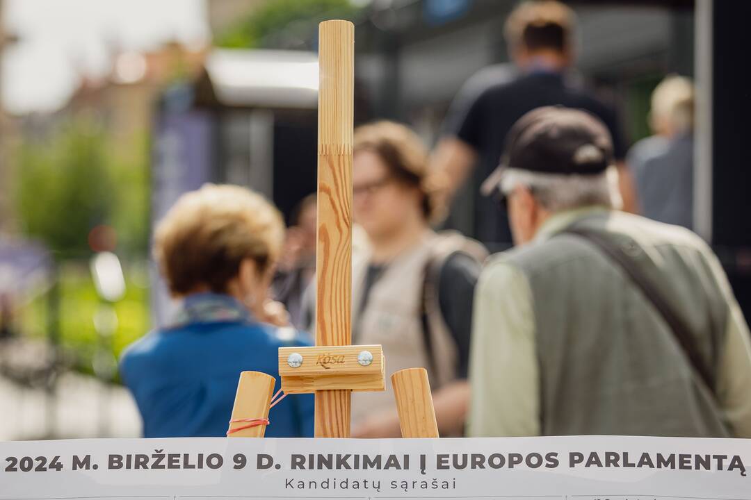 S. Skvernelis balsavo išankstiniuose EP rinkimuose
