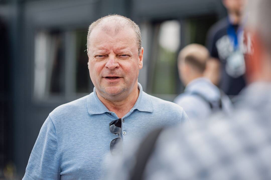 S. Skvernelis balsavo išankstiniuose EP rinkimuose