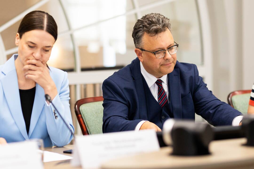 Radvilė Morkūnaitė-Mikulėnienė