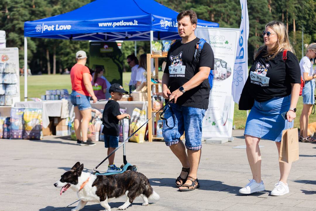 Korgių lenktynės Vingio parke