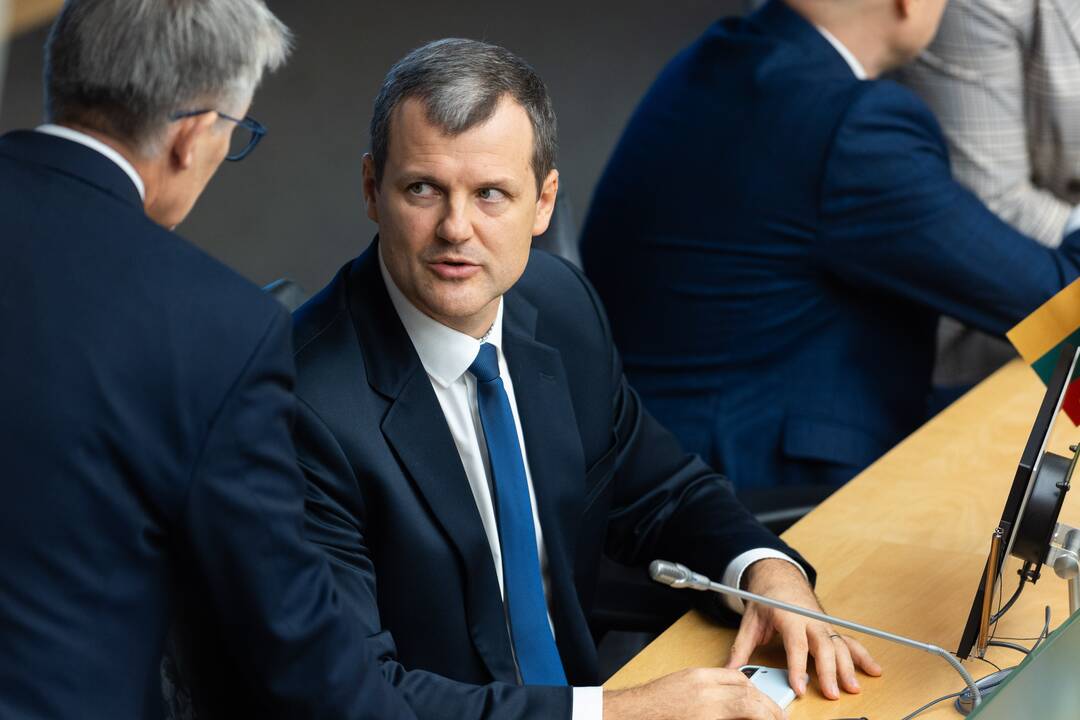 Seimas svarsto dėl G. Palucko kandidatūros