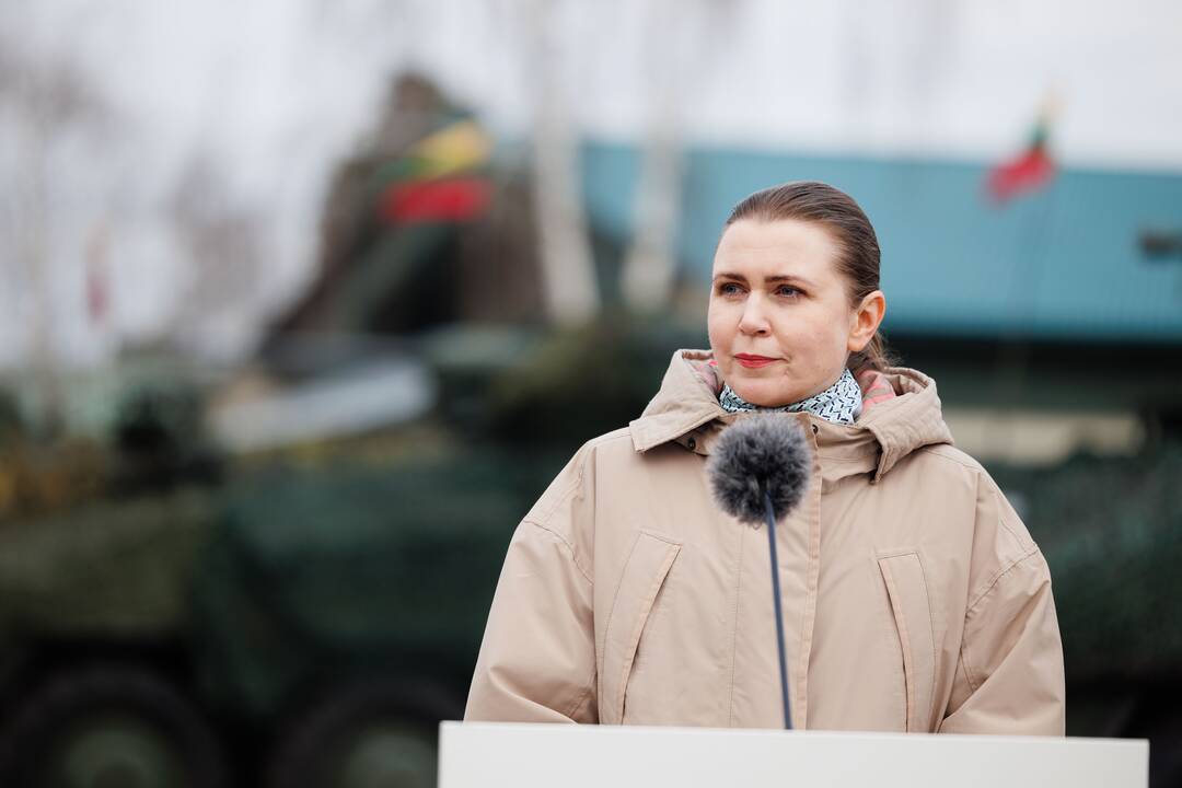 Ministrė pasakė, kam reikia skirti ypatingą dėmesį kuriant diviziją
