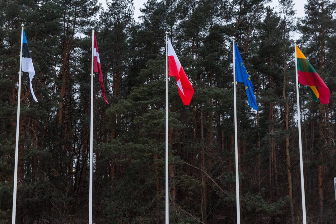 Baltijos šalių energetinės nepriklausomybės šventė