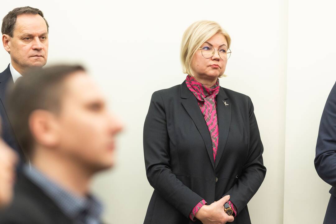 Prezidentas susitiko su partijų lyderiais