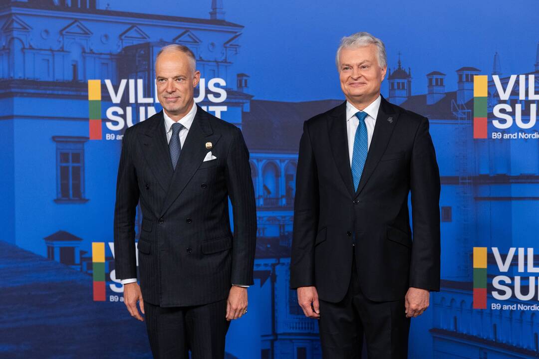 Bukarešto devintuko ir Šiaurės šalių vadovų susitikimas