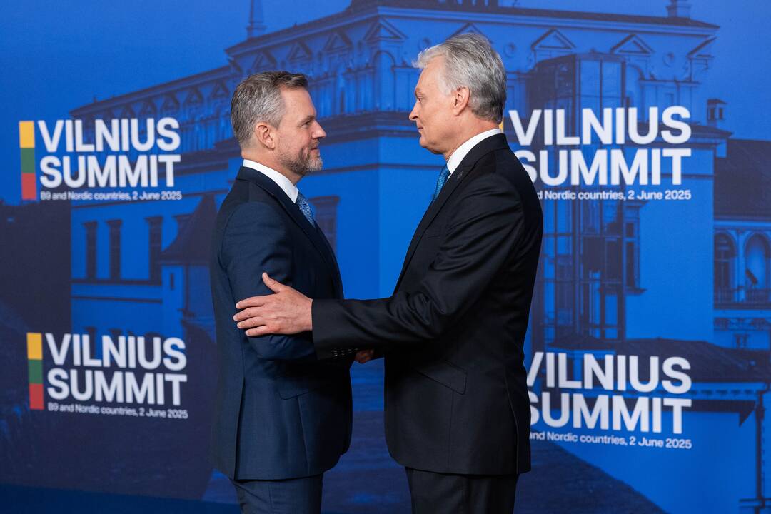 Bukarešto devintuko ir Šiaurės šalių vadovų susitikimas