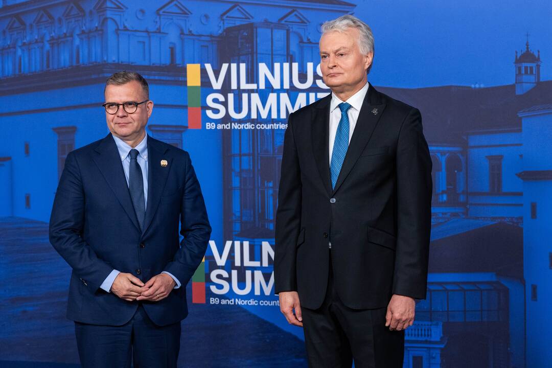 Bukarešto devintuko ir Šiaurės šalių vadovų susitikimas