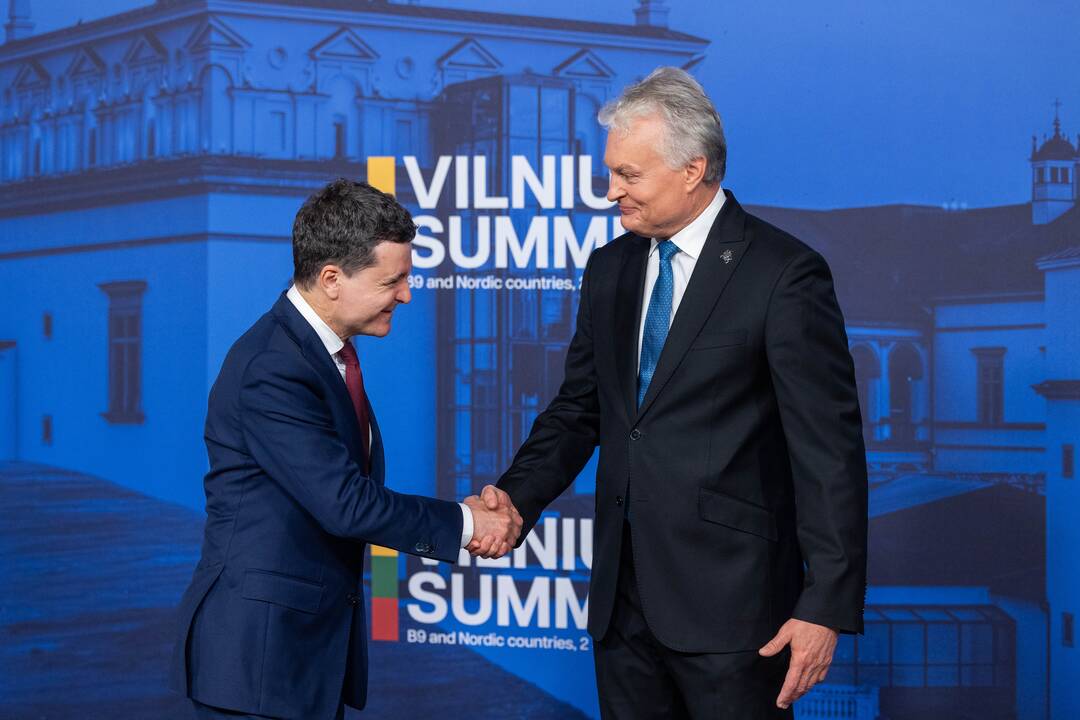Bukarešto devintuko ir Šiaurės šalių vadovų susitikimas