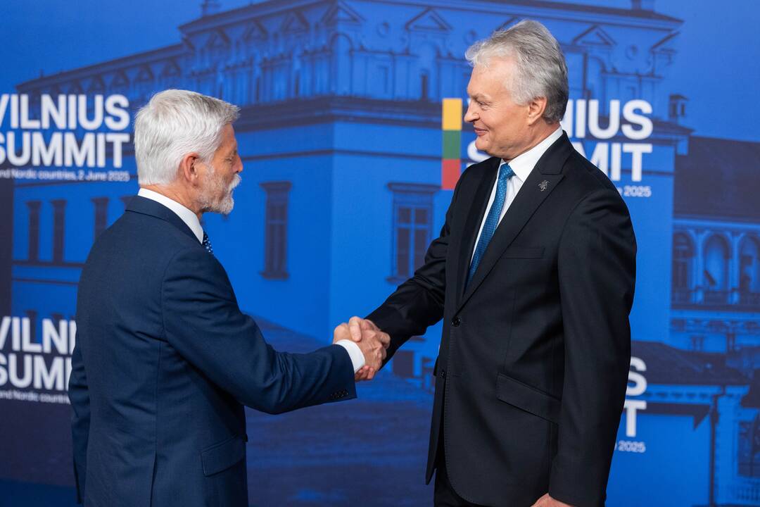 Bukarešto devintuko ir Šiaurės šalių vadovų susitikimas
