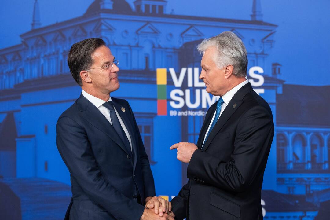 Bukarešto devintuko ir Šiaurės šalių vadovų susitikimas